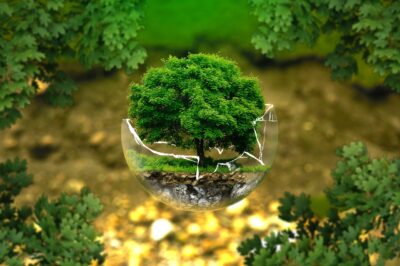 विश्व पर्यावरण दिवस कब और क्यों मनाया जाता है? | Essay on World Environment Day for 10th class and 12th class in Hindi | प्लास्टिक प्रदूषण क्या है?