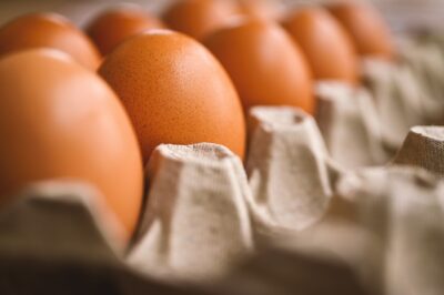 विश्व अंडा दिवस पर निबंध | Essay on World Egg Day in Hindi